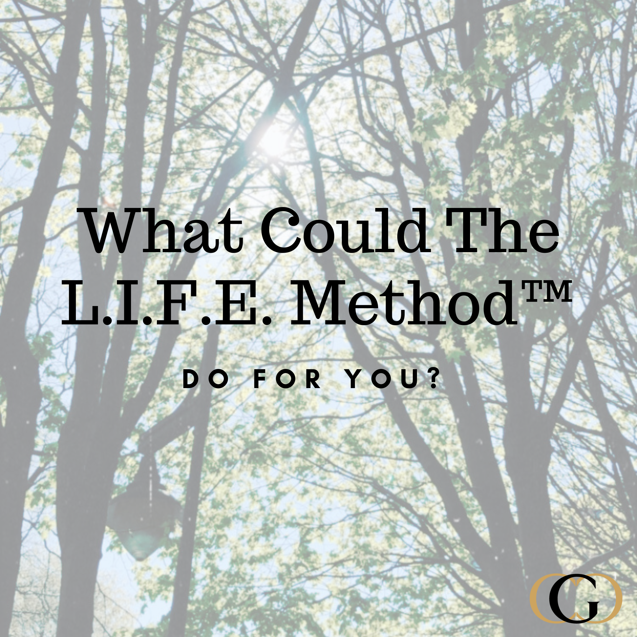 What Could The L.I.F.E. Method™ Do For You?