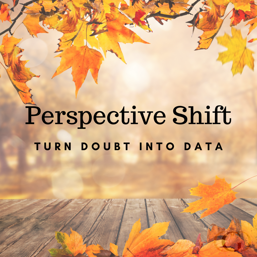 Perspective Shift: Turn Doubt Into Data