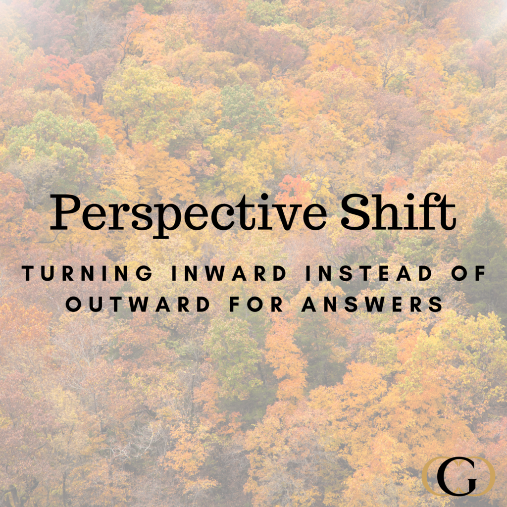 Perspective Shift: Turning Inward instead of Outward for Answers