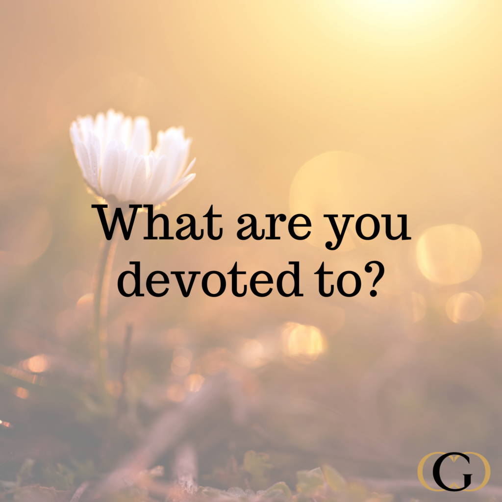 What are you devoted to?