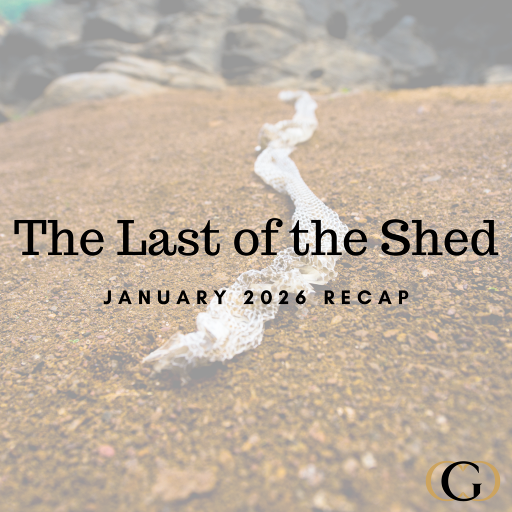 The Last of the Shed - January 2026 Recap